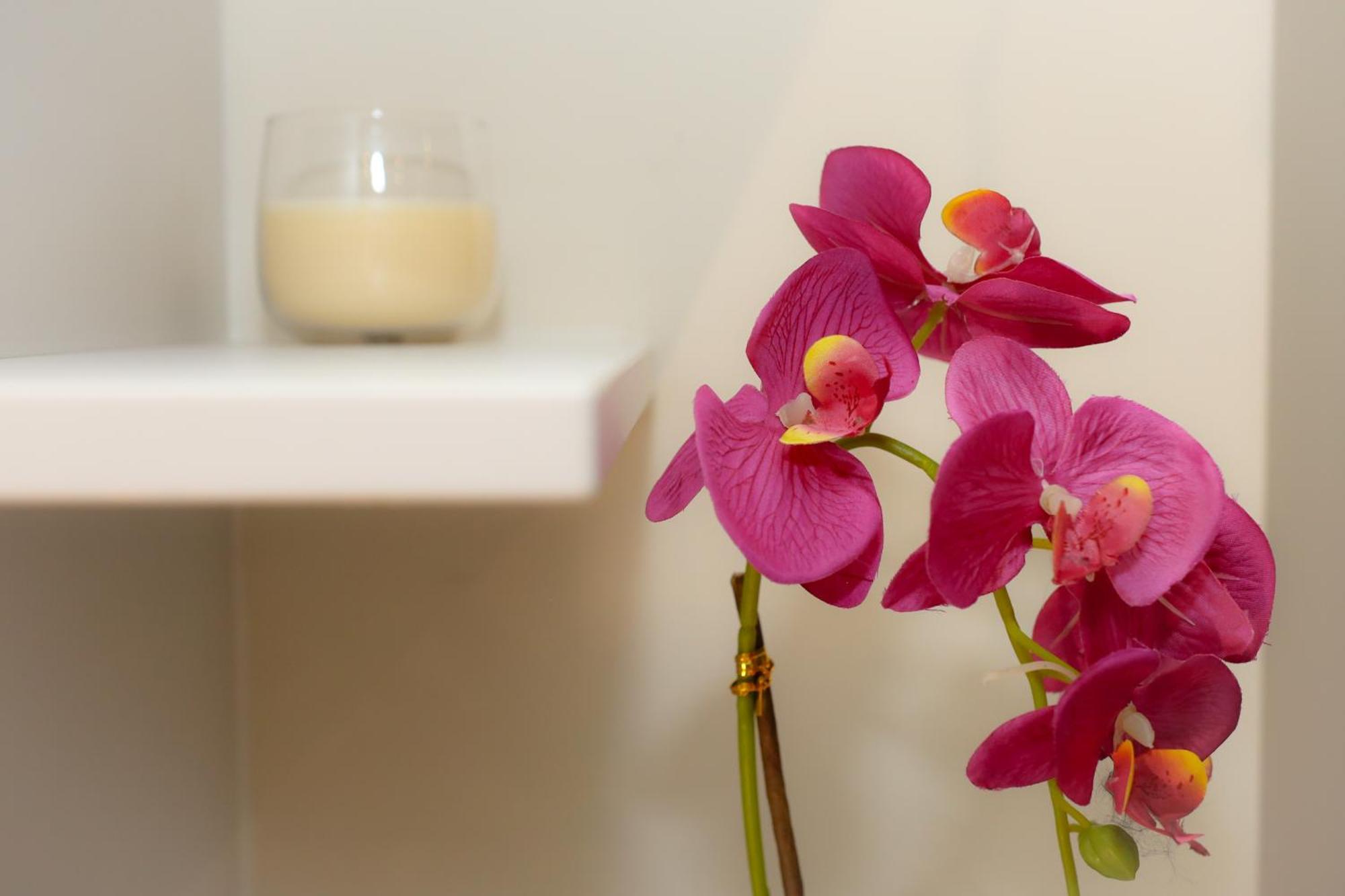 Apartments Milanovic Херцег Нови Екстериор снимка